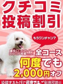 ★★★ 口コミ投稿で2000円OFF！！ ★★★